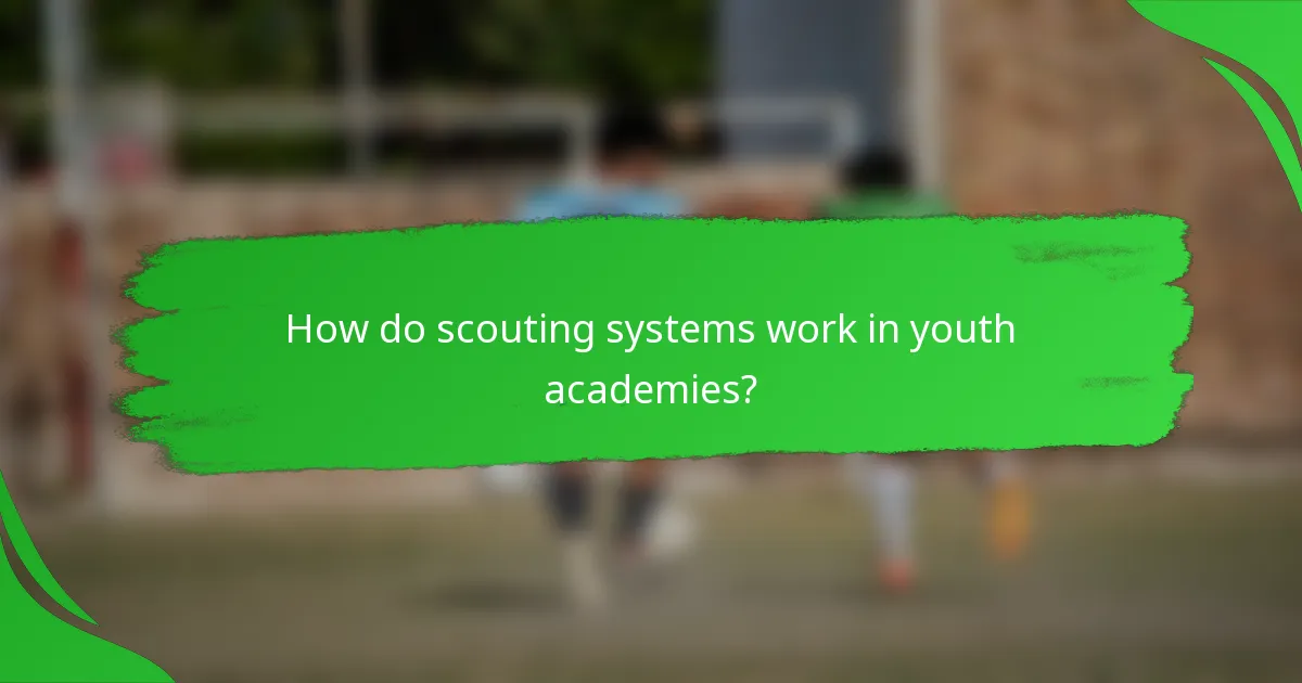 How do scouting systems work in youth academies?