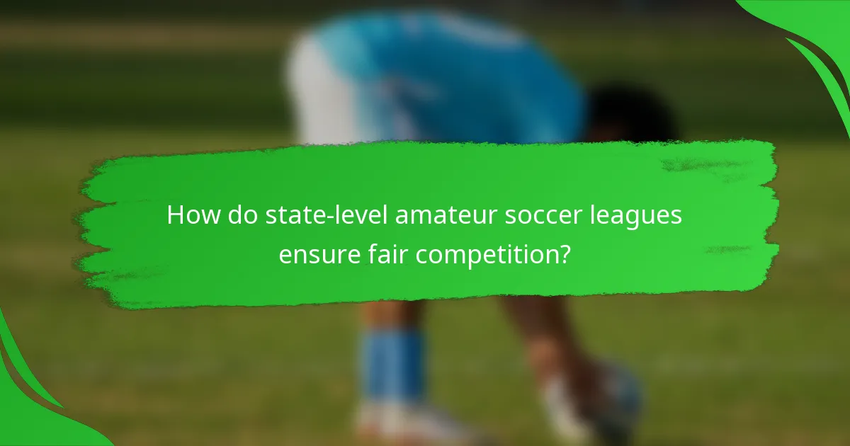 How do state-level amateur soccer leagues ensure fair competition?