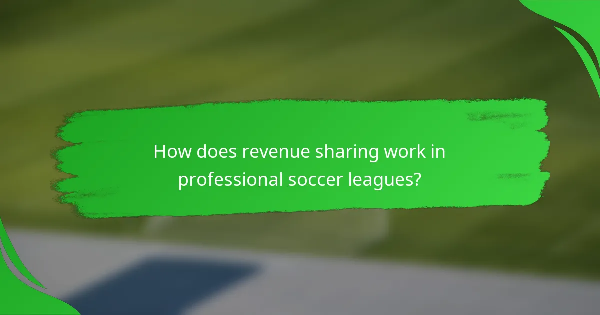 How does revenue sharing work in professional soccer leagues?