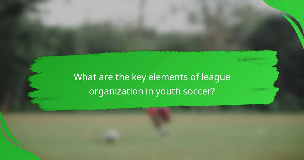 What are the key elements of league organization in youth soccer?