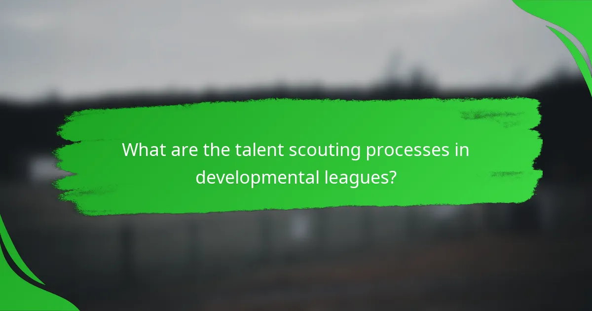 What are the talent scouting processes in developmental leagues?