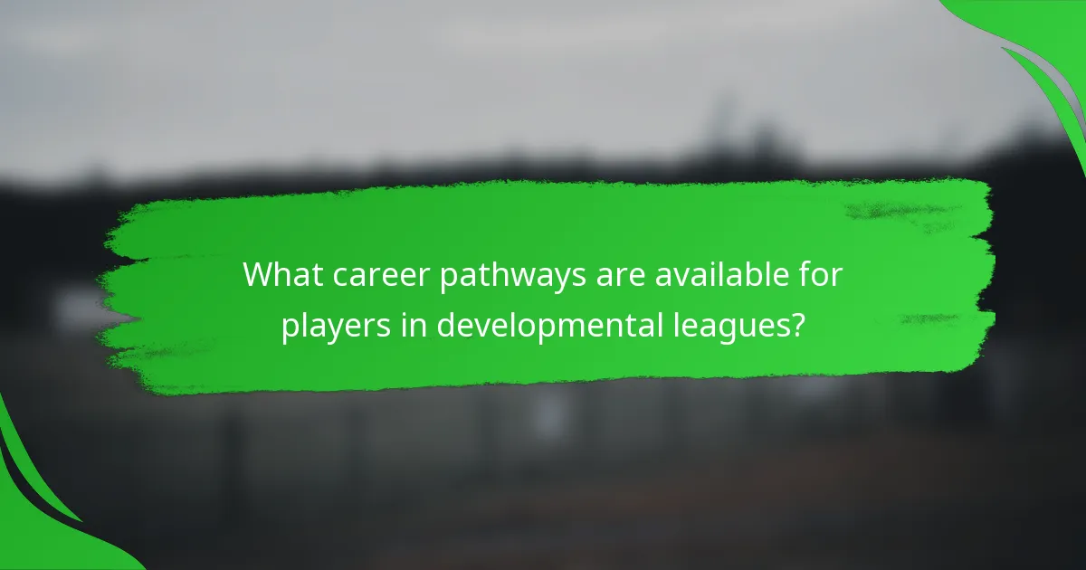 What career pathways are available for players in developmental leagues?