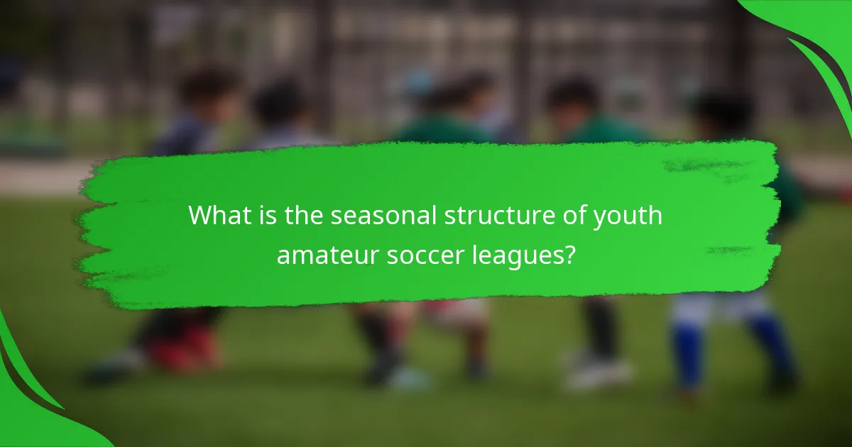 What is the seasonal structure of youth amateur soccer leagues?